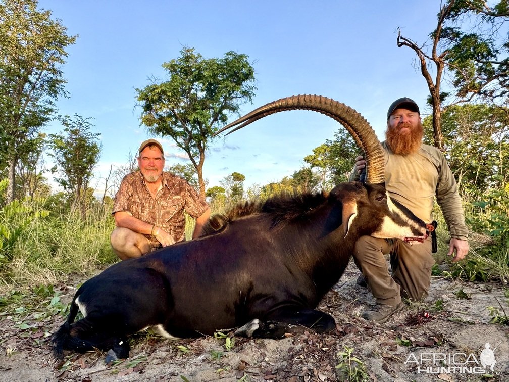 Sable Hunt Zimbabwe