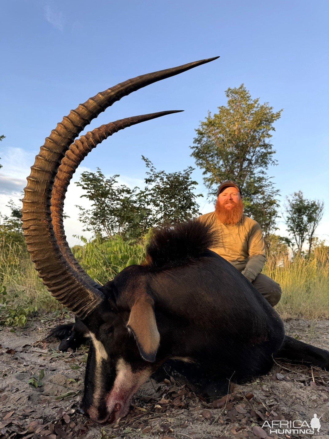 Sable Hunt Zimbabwe