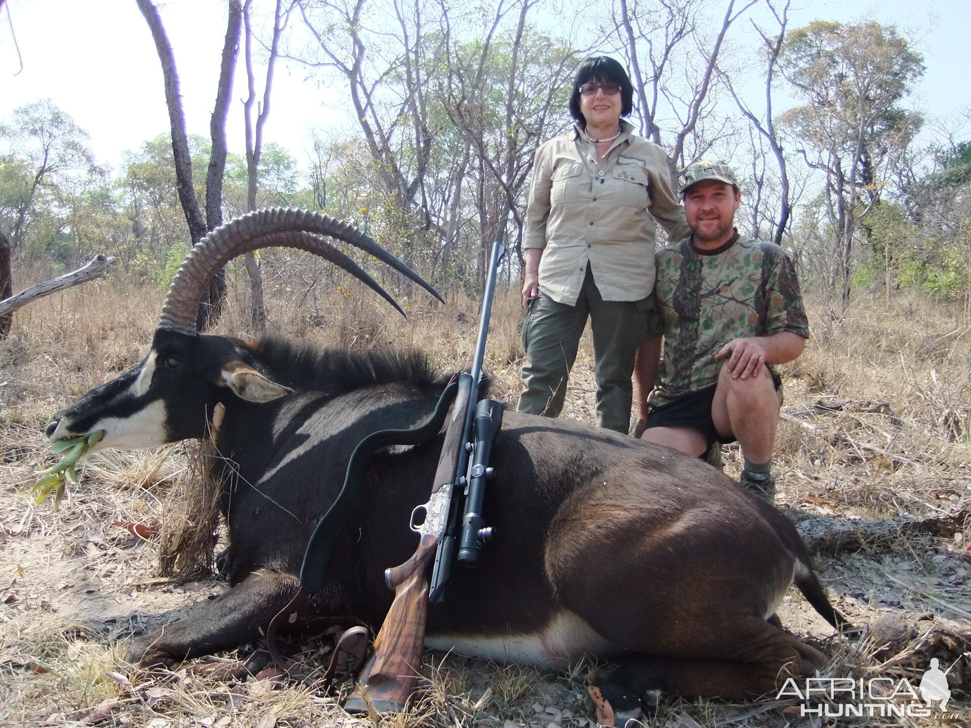 Sable hunted with Balla-Balla Safaris in Zambia