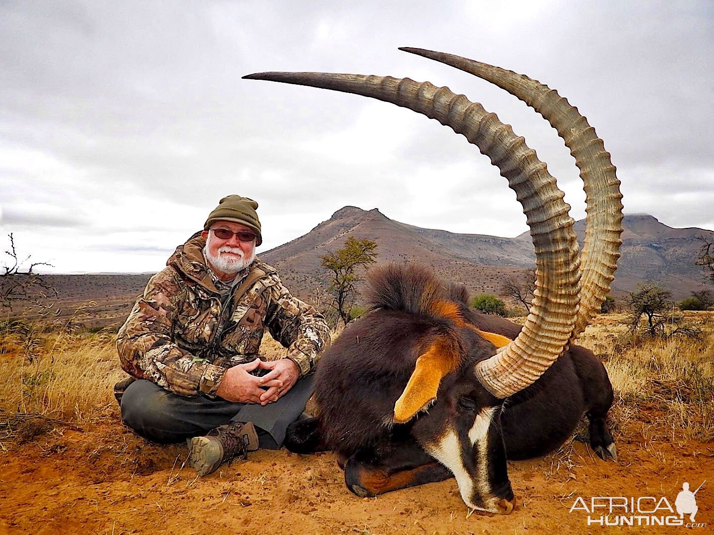 Sable Hunting Eastern Cape Somerset East South Africa