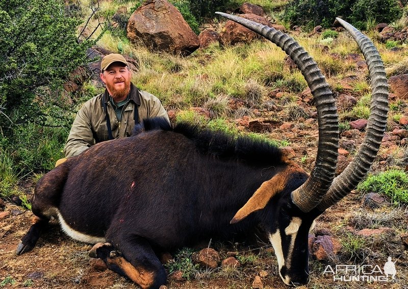 Sable Hunting Eastern Cape South Africa