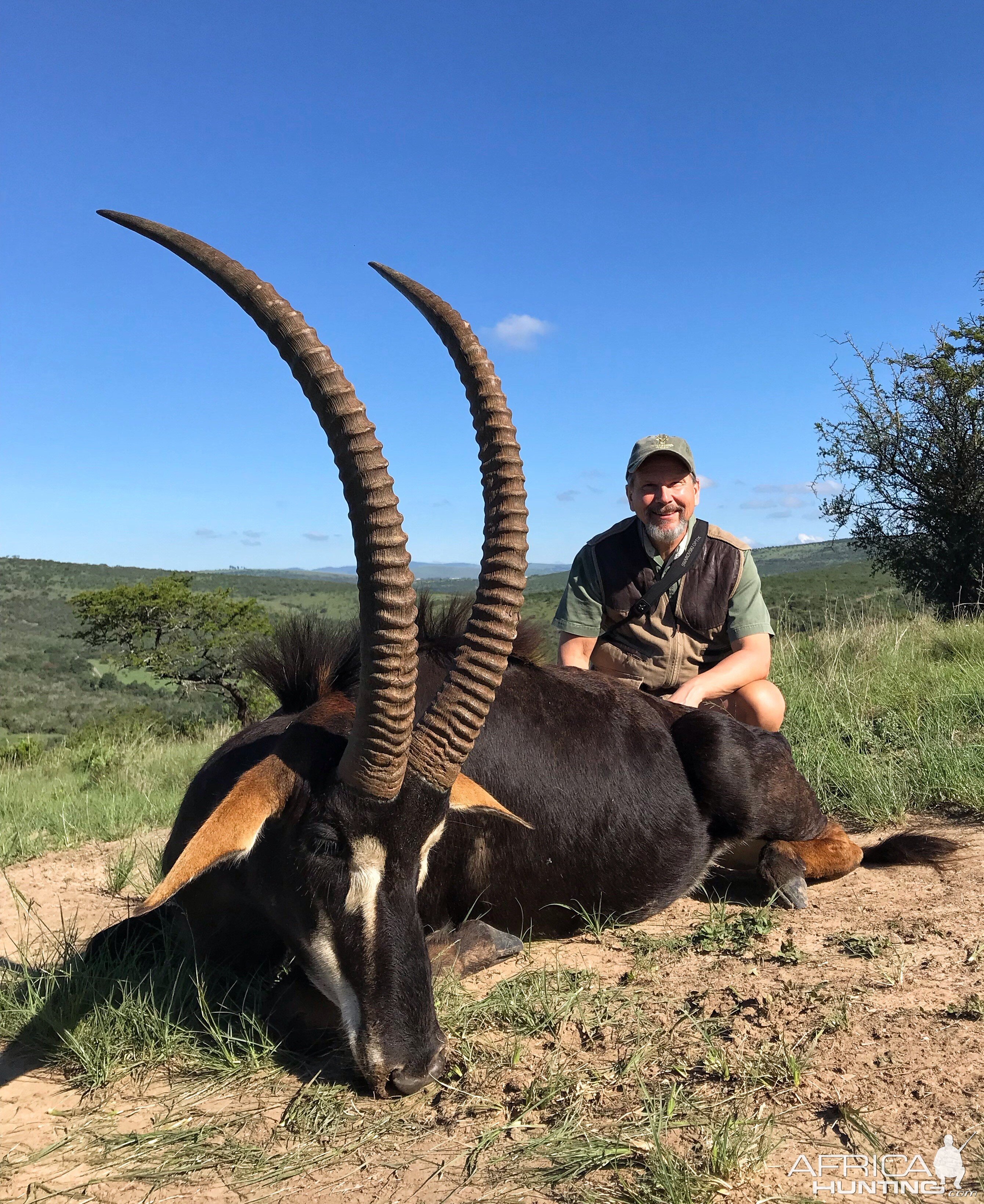 Sable Hunting, Eastern Cape, South Africa