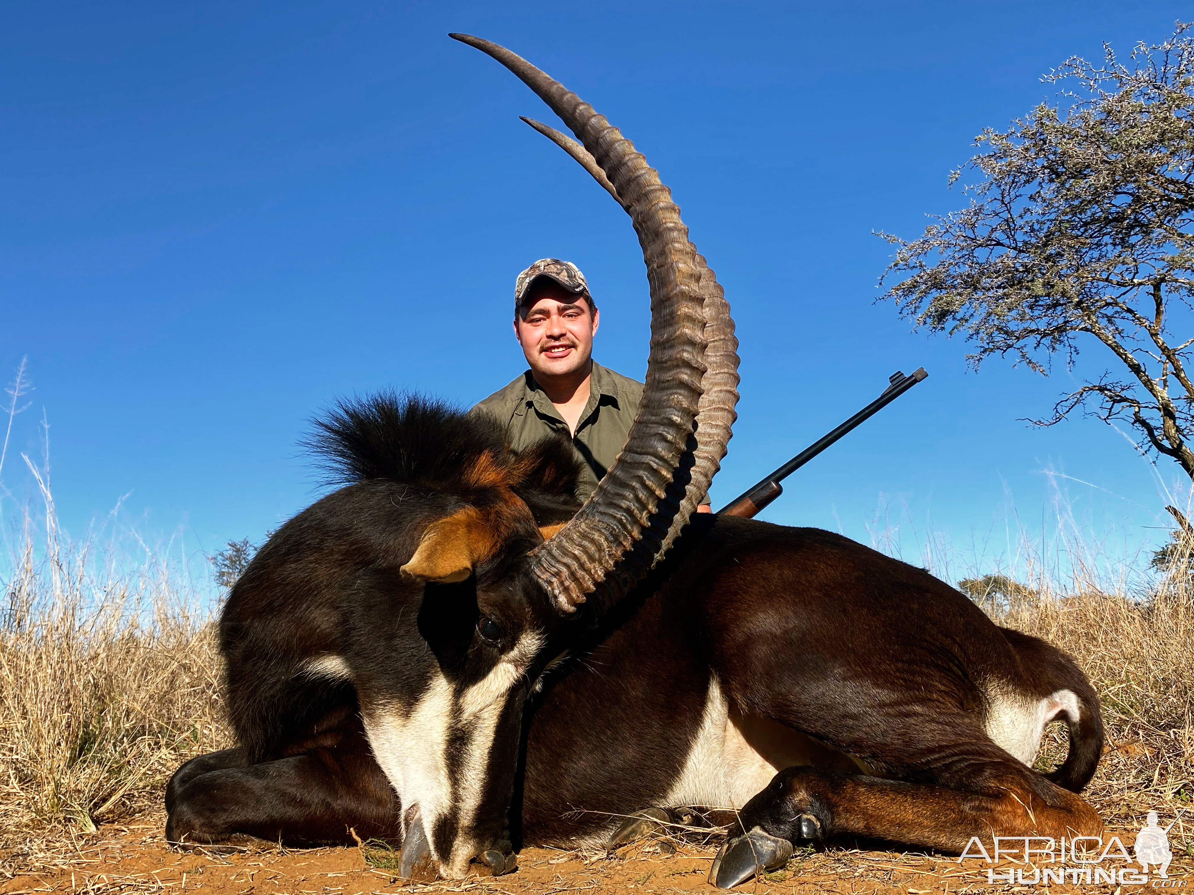 Sable Hunting Free State Province South Africa