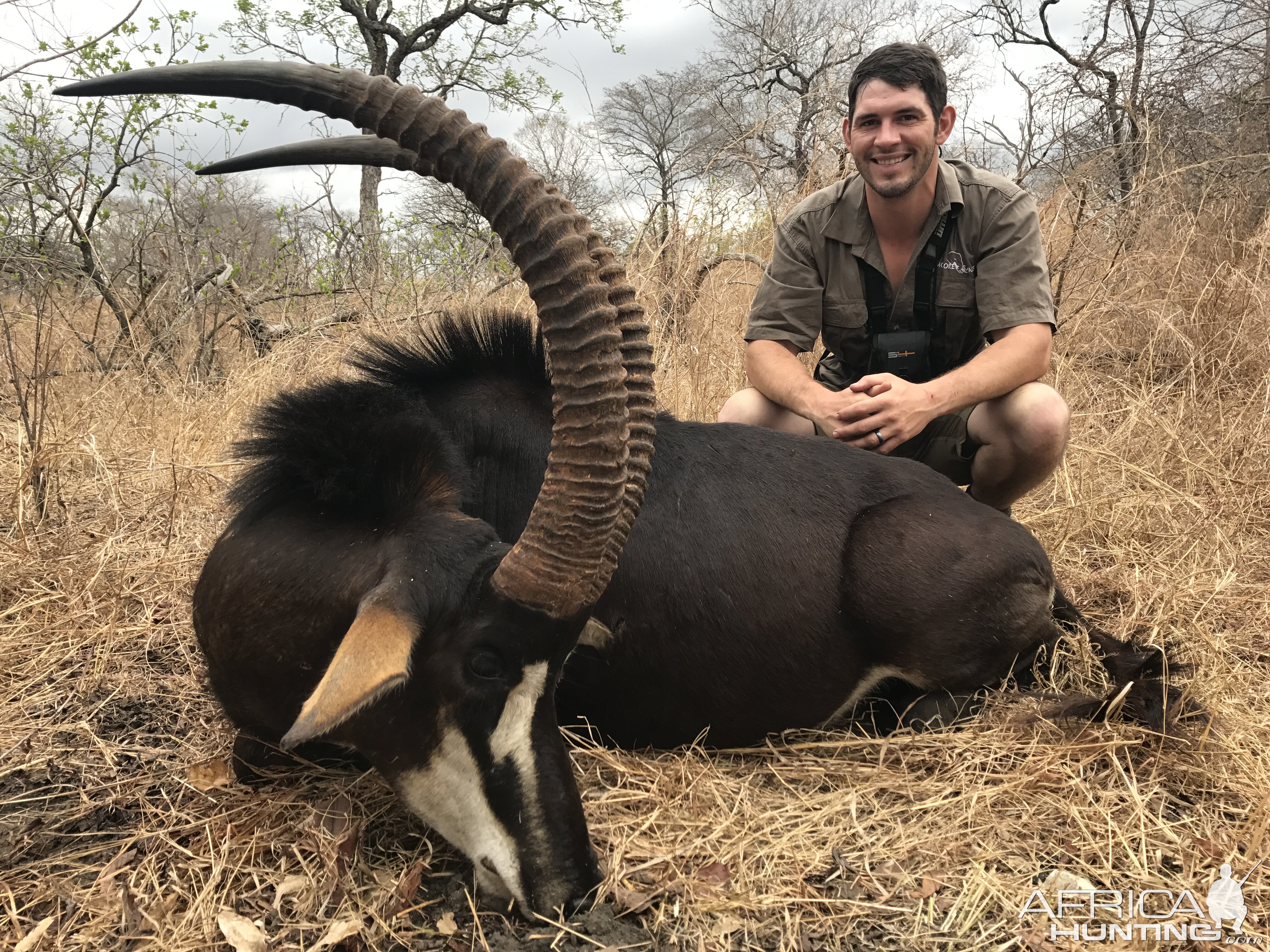 Sable Hunting in Mozambique