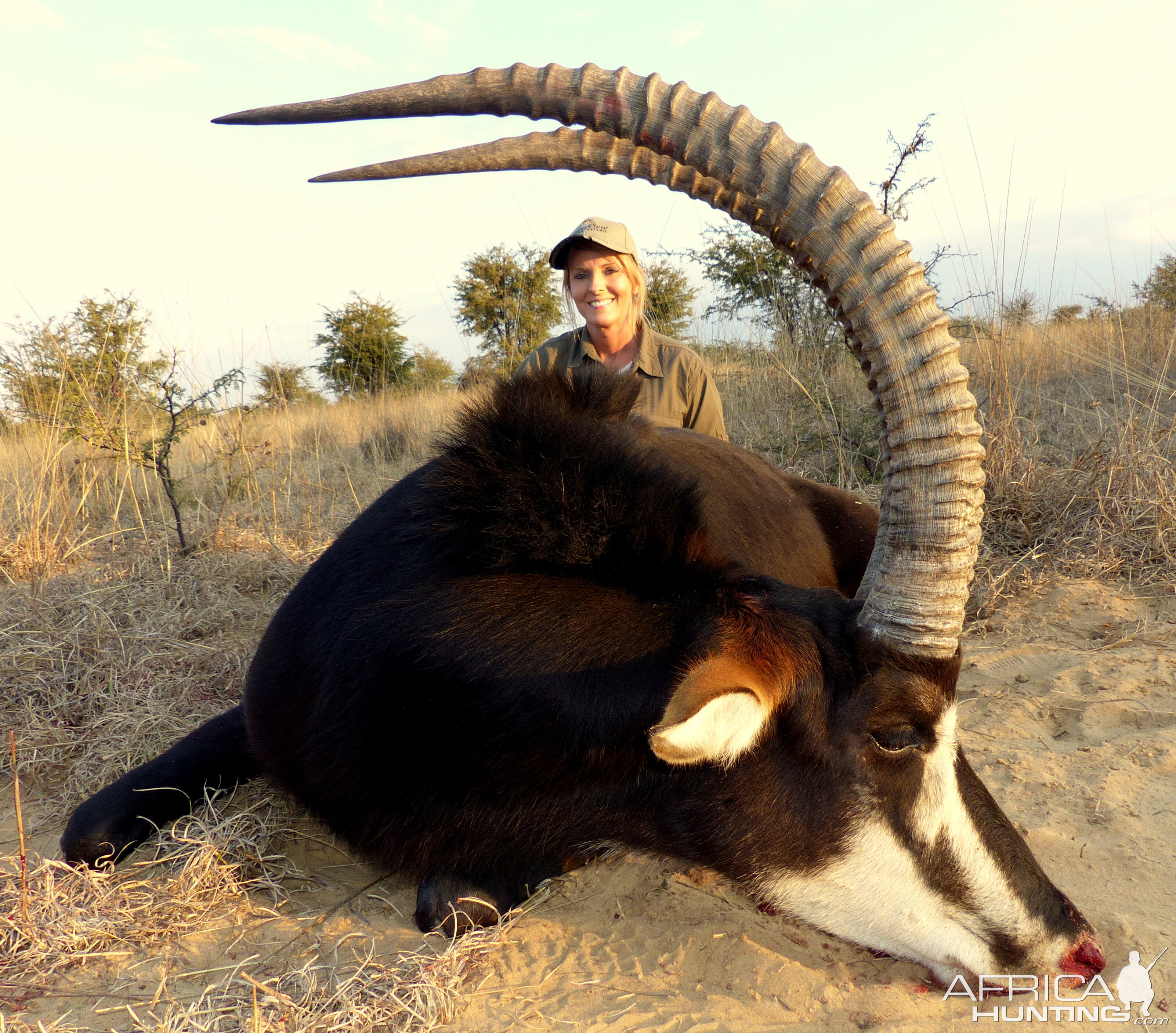 Sable Hunting in South Africa