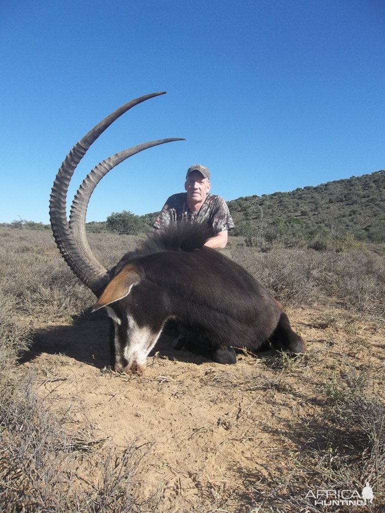 Sable Hunting in South Africa