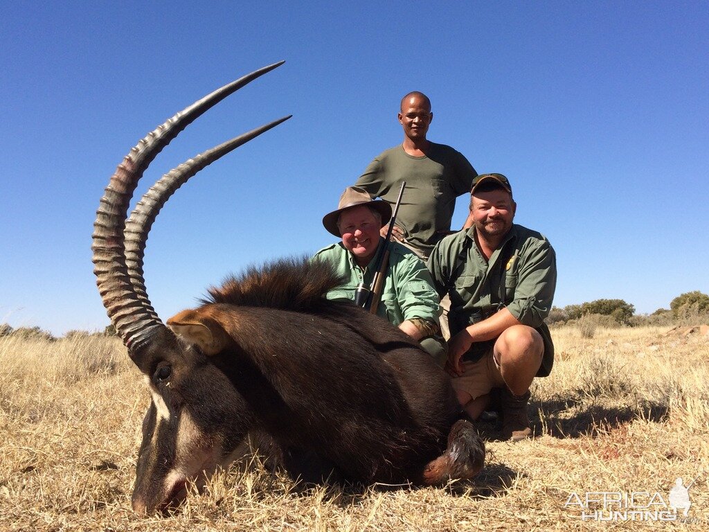 Sable Hunting in South Africa