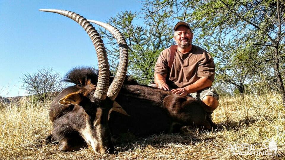 Sable Hunting in South Africa