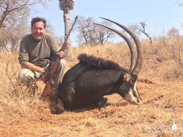 Sable Hunting in South Africa