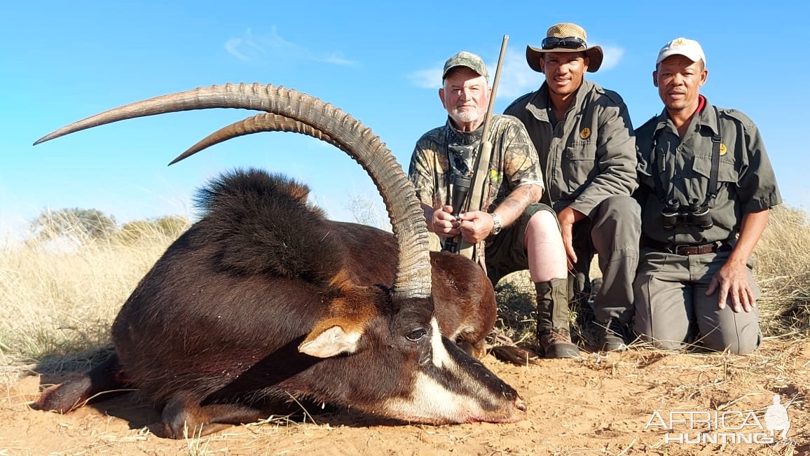 Sable Hunting Kalahari South Africa