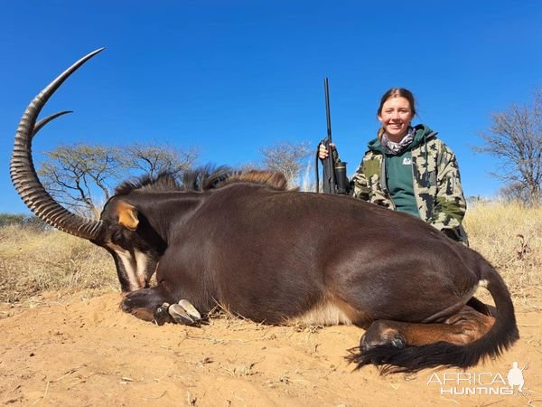 Sable Hunting Kalahari South Africa