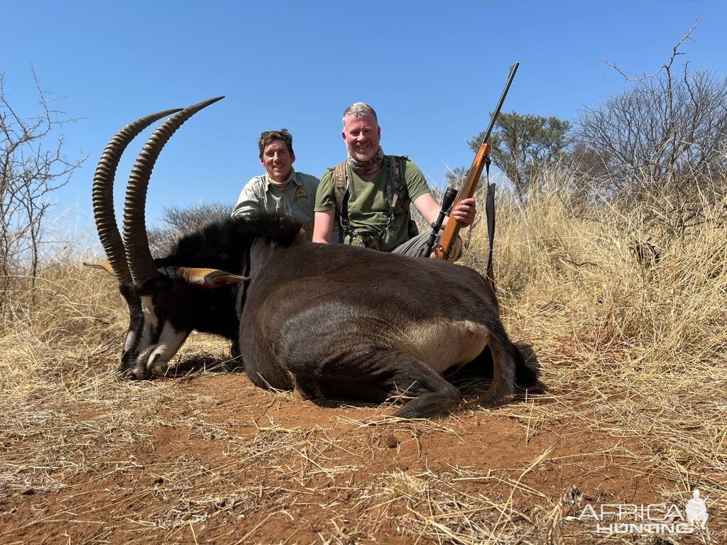 Sable Hunting Limpopo Povince South Africa