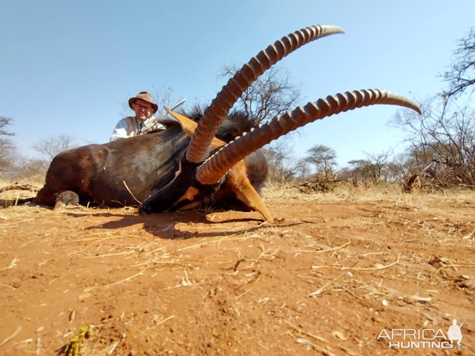 Sable Hunting Limpopo South Africa