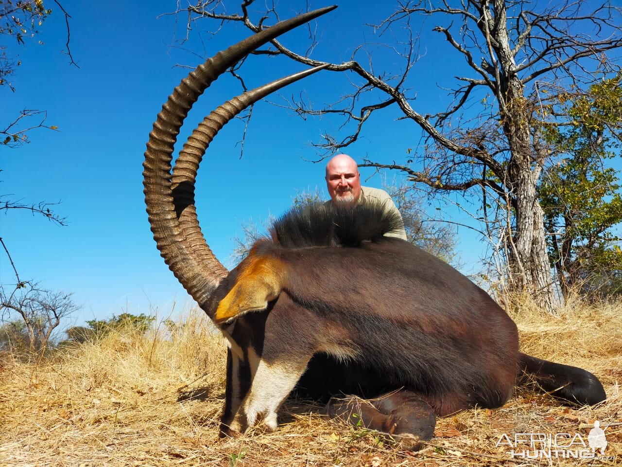 Sable Hunting Limpopo South Africa