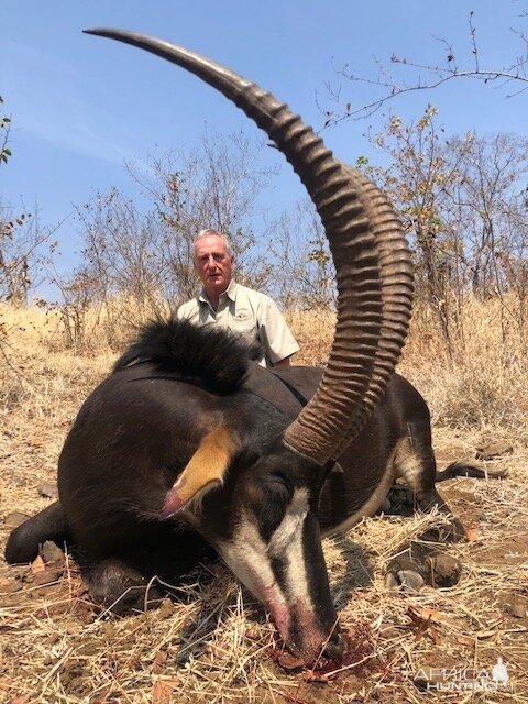 Sable Hunting Matetsi Zimbabwe