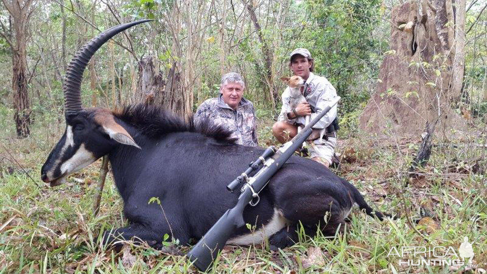 Sable Hunting Mozambique