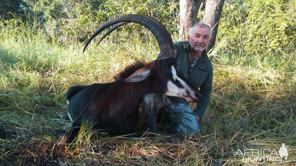 Sable Hunting Mozambique