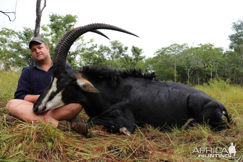 Sable Hunting Mozambique