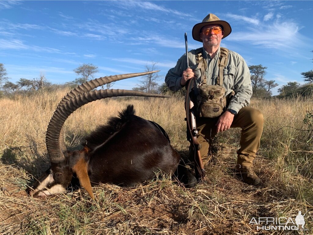 Sable Hunting Namibia