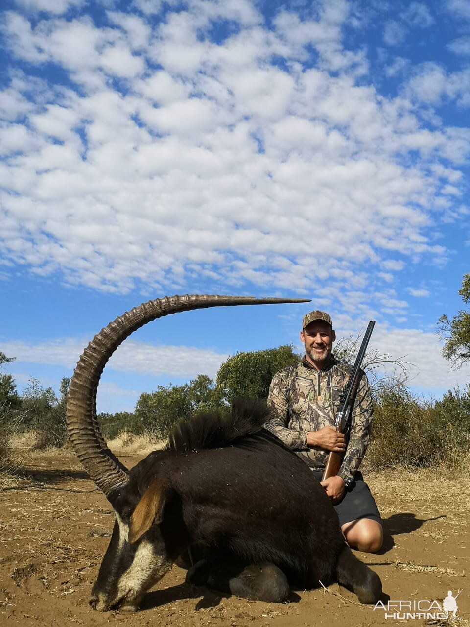 Sable Hunting South Africa