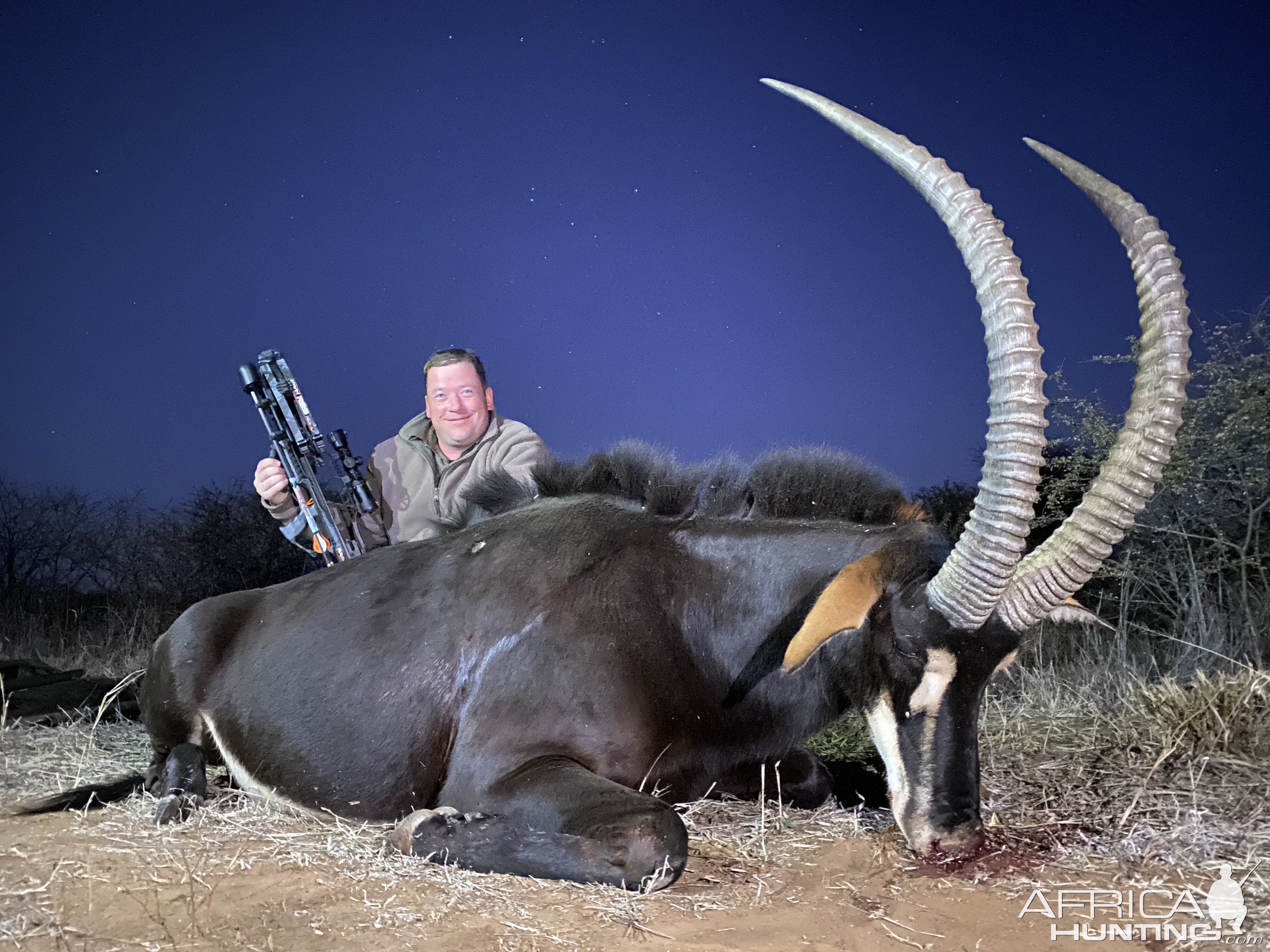 Sable Hunting South Africa