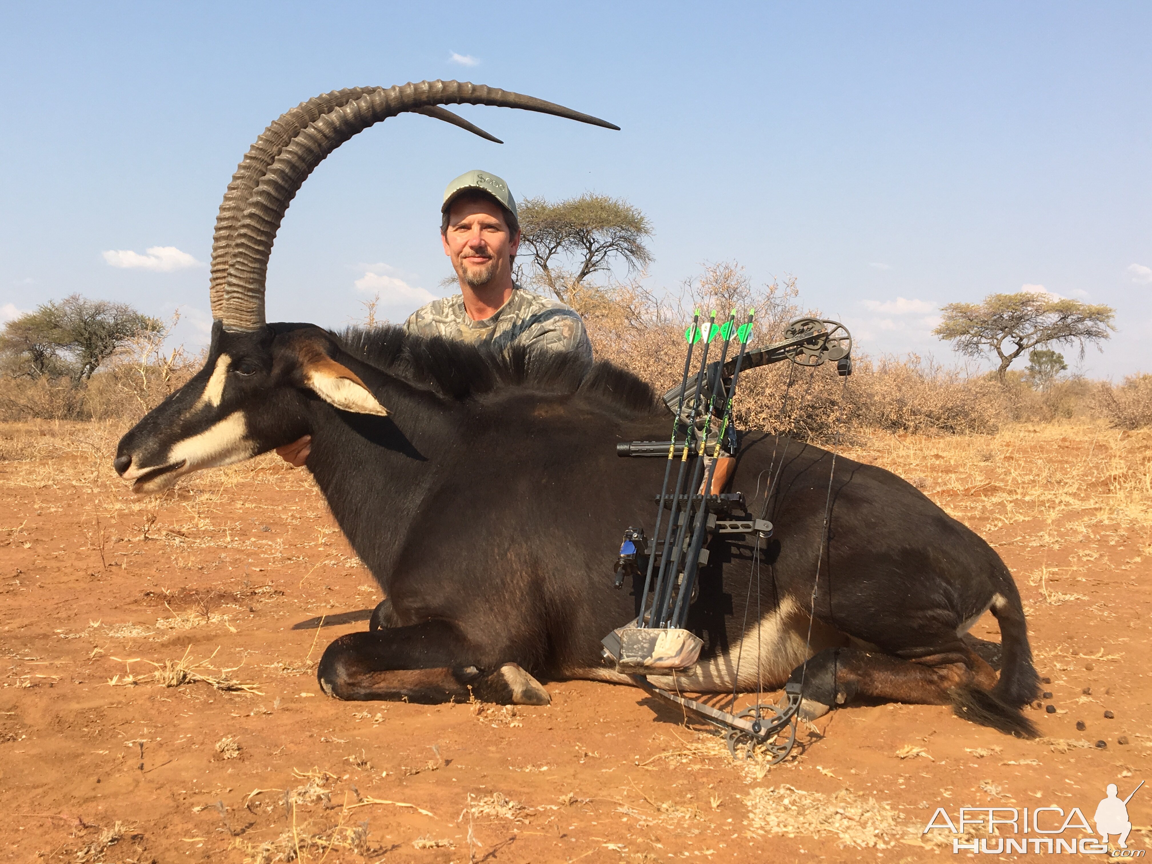 Sable Hunting South Africa