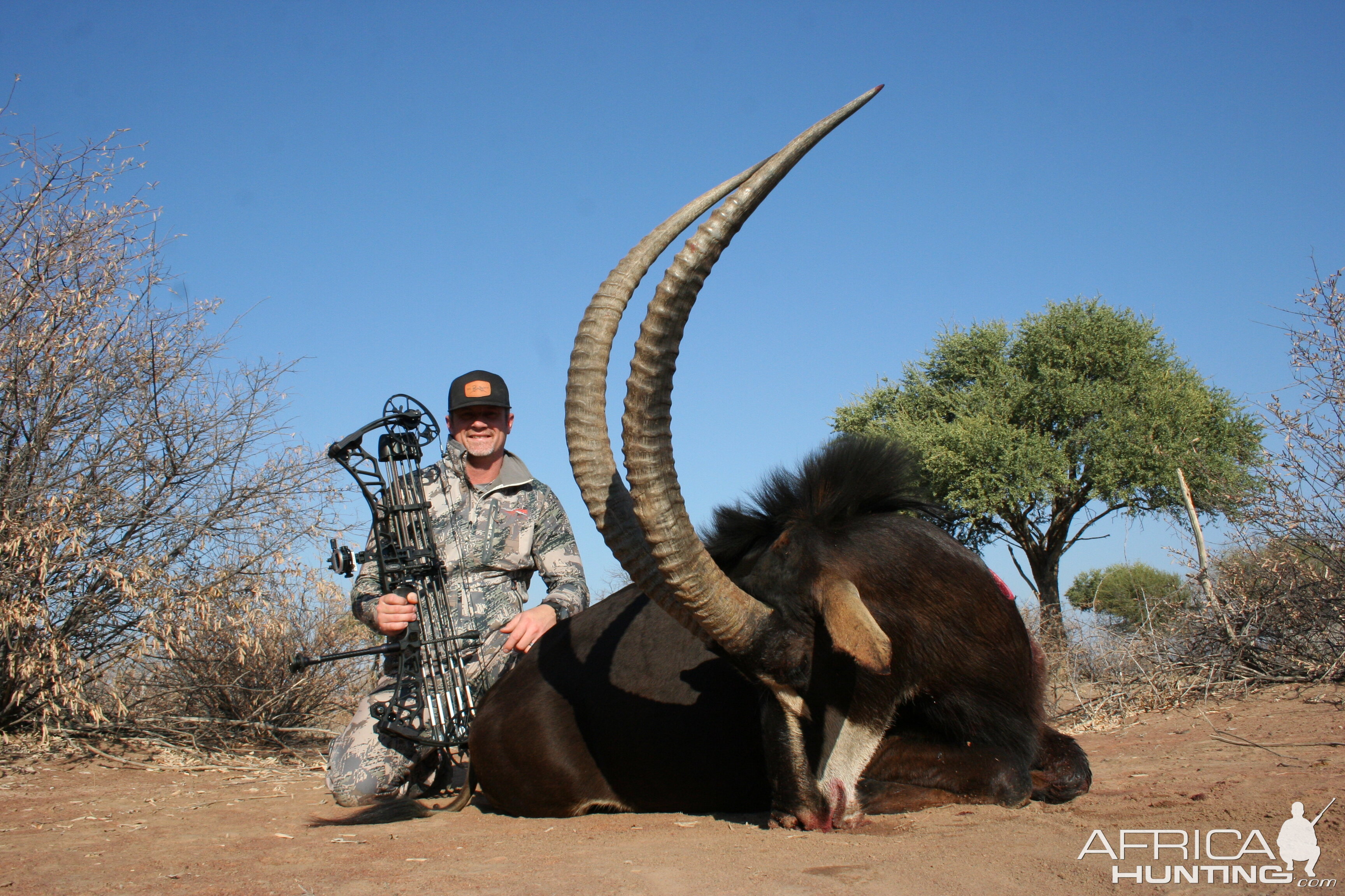 Sable Hunting South Africa