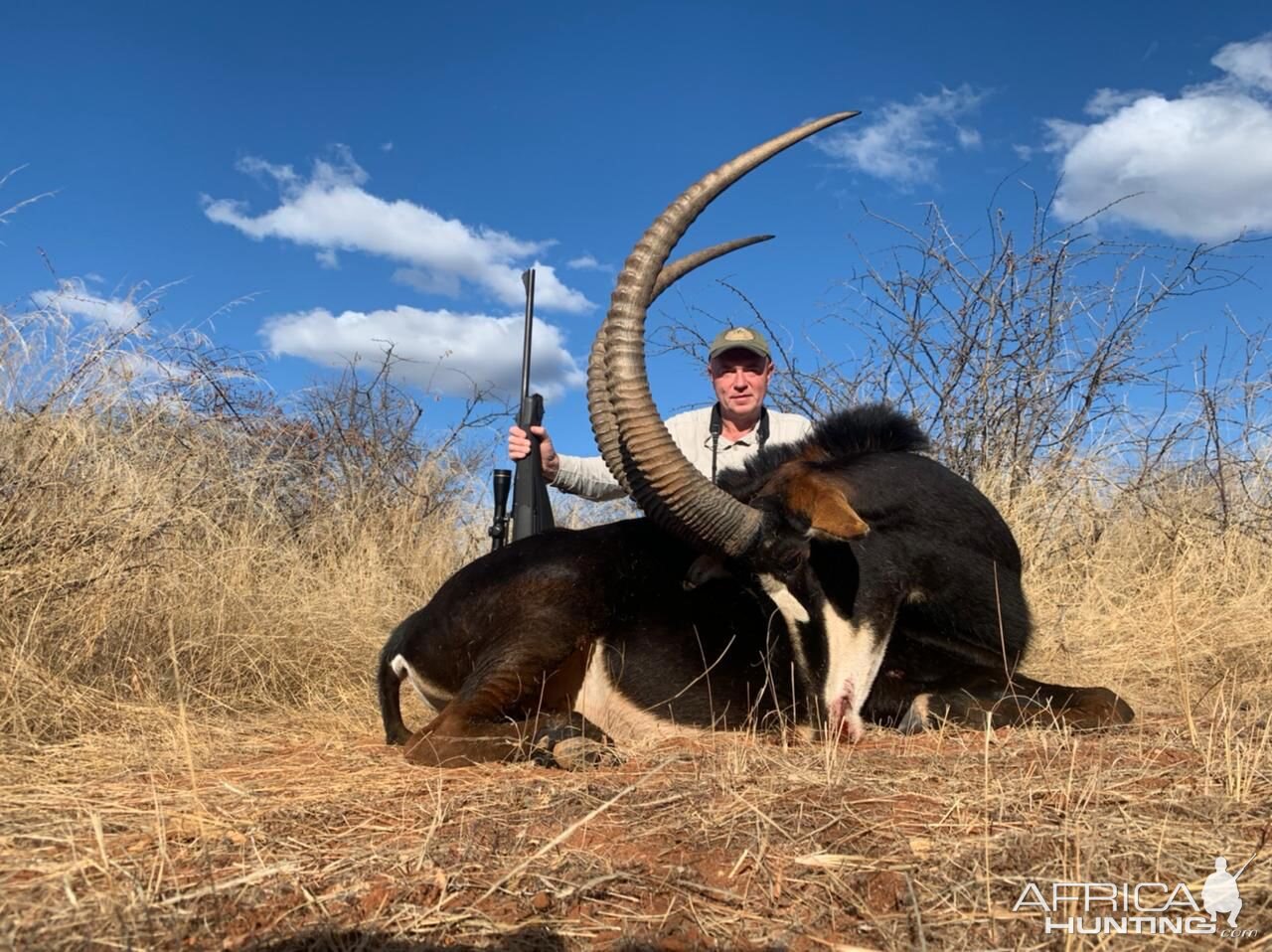 Sable Hunting South Africa