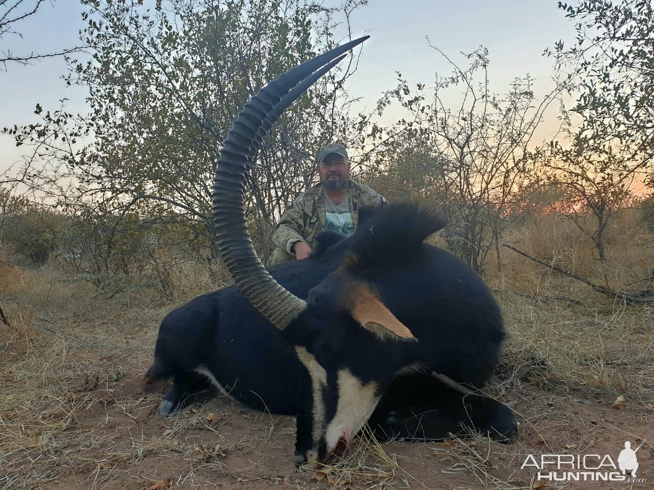 Sable Hunting South Africa