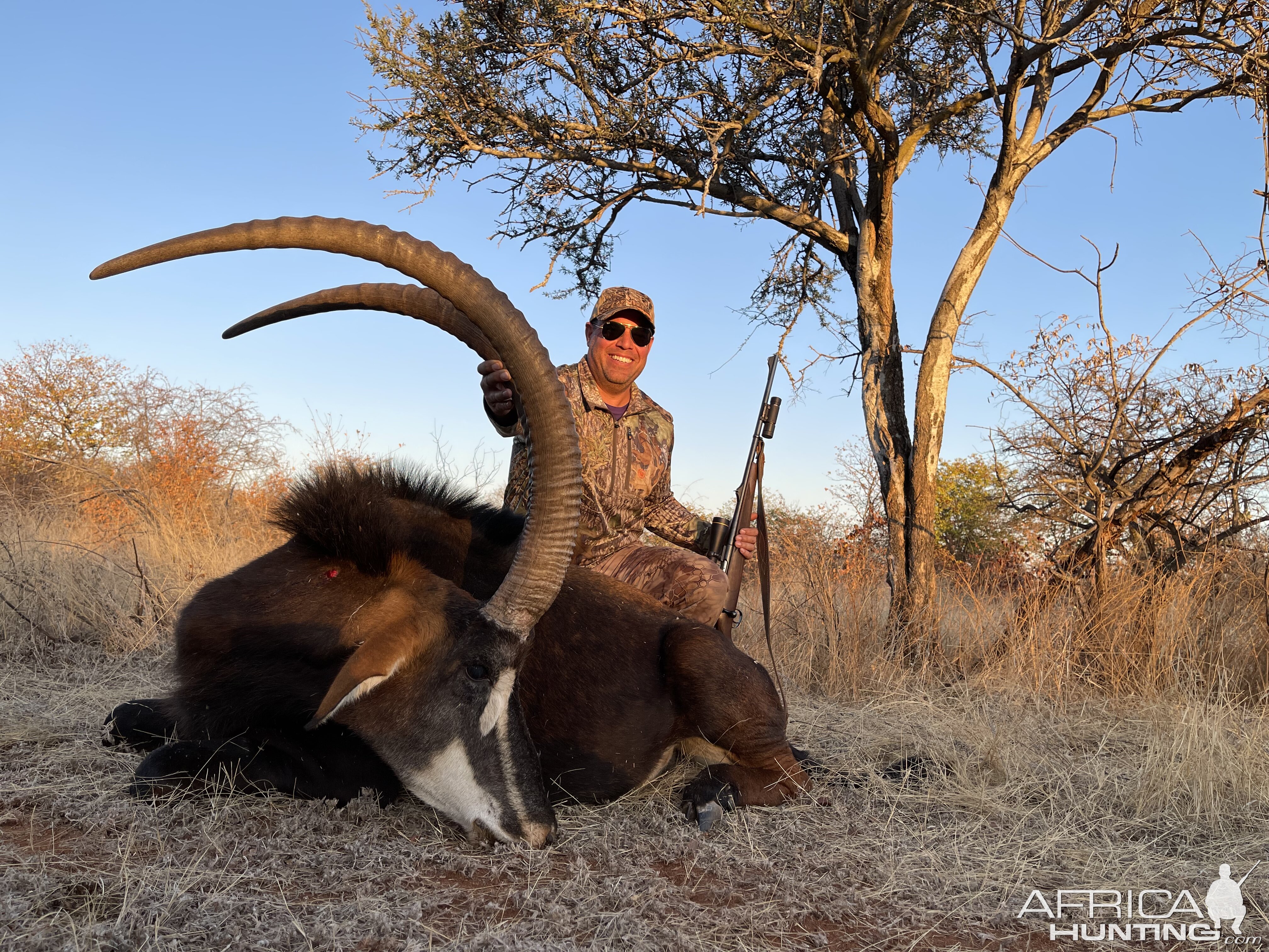 Sable Hunting South Africa