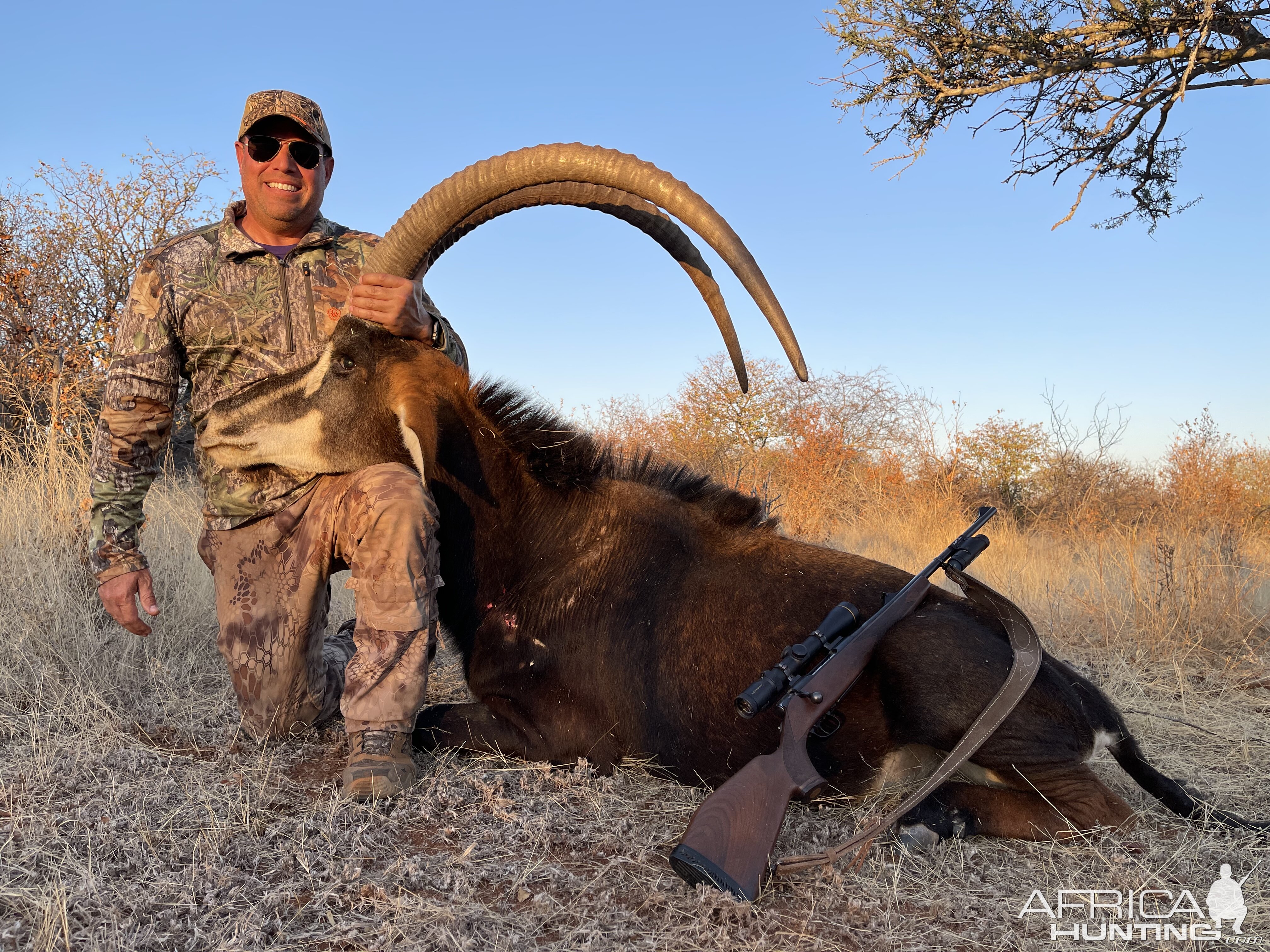 Sable Hunting South Africa