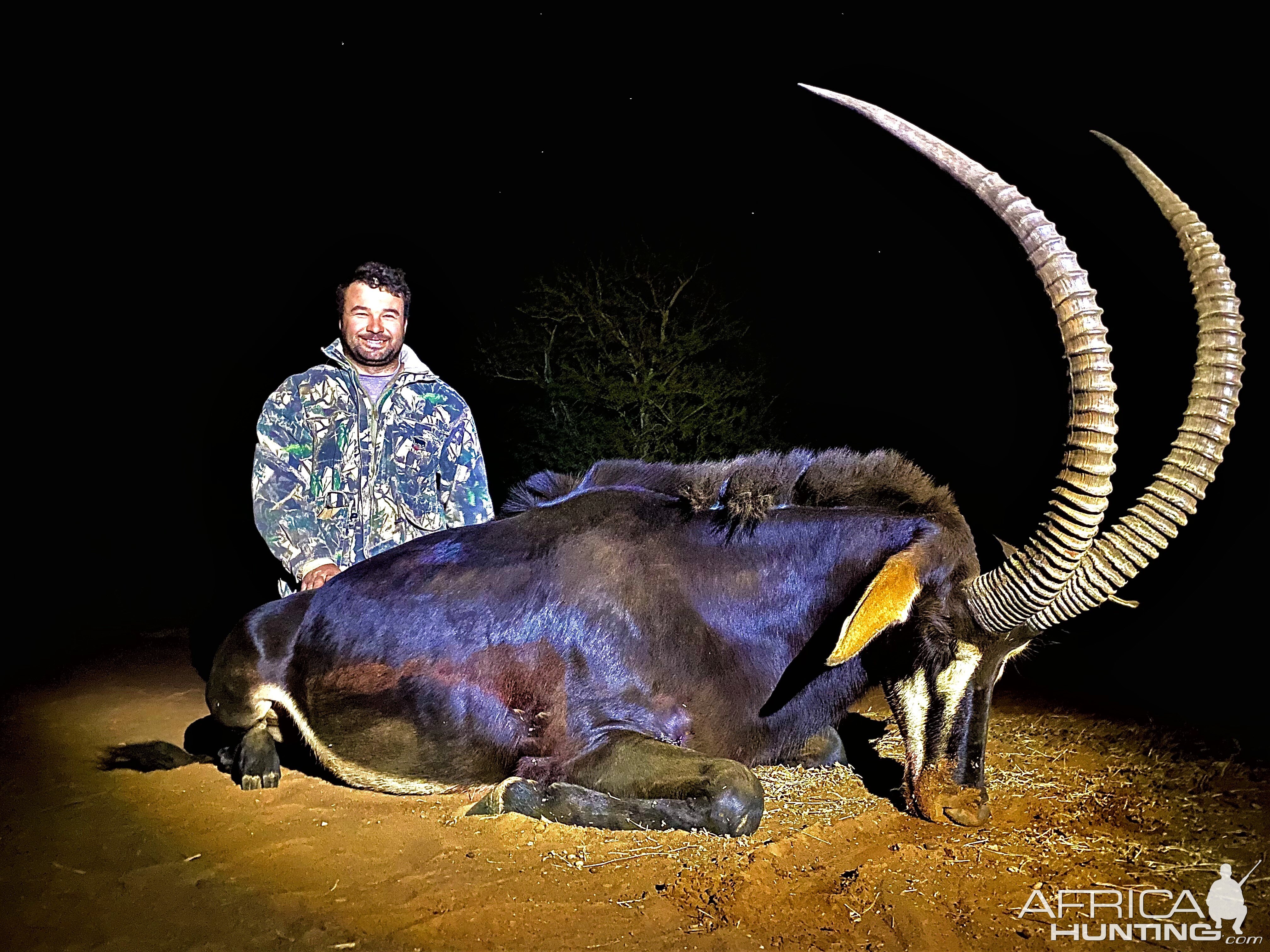 Sable Hunting South Africa