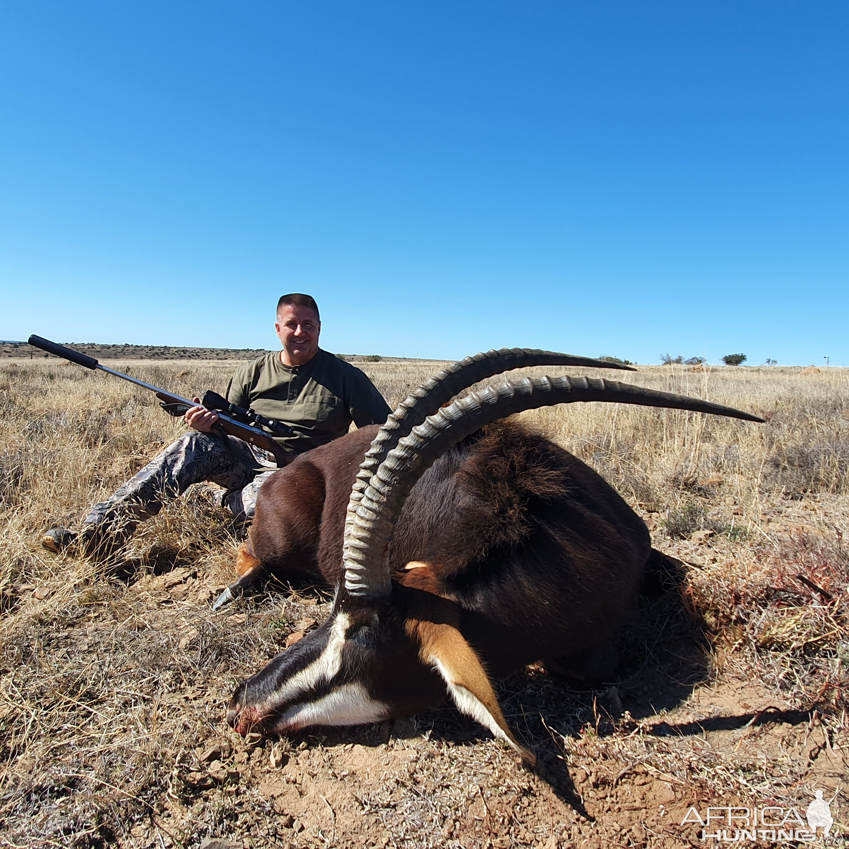 Sable Hunting South Africa