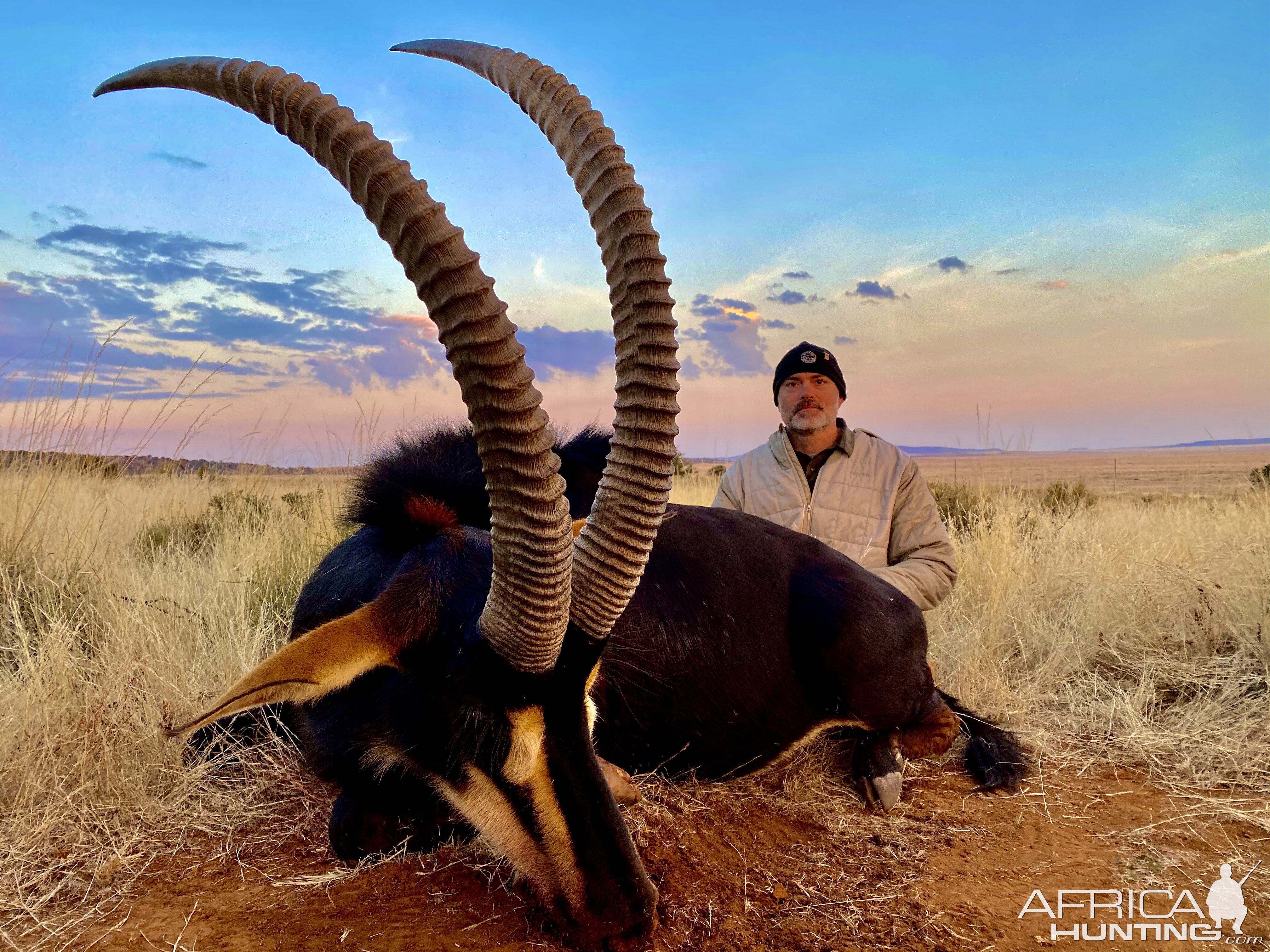 Sable Hunting South Africa