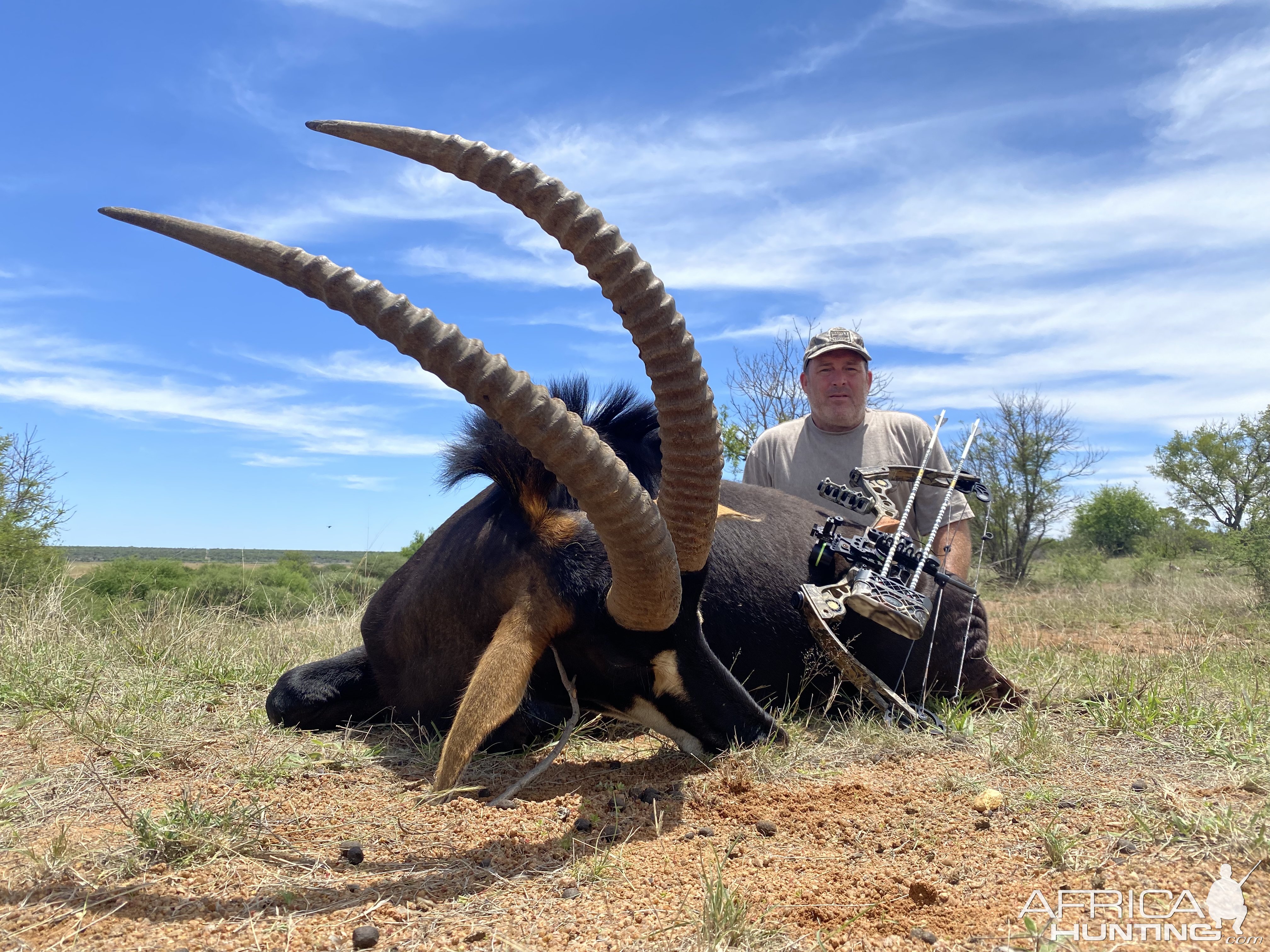 Sable Hunting South Africa