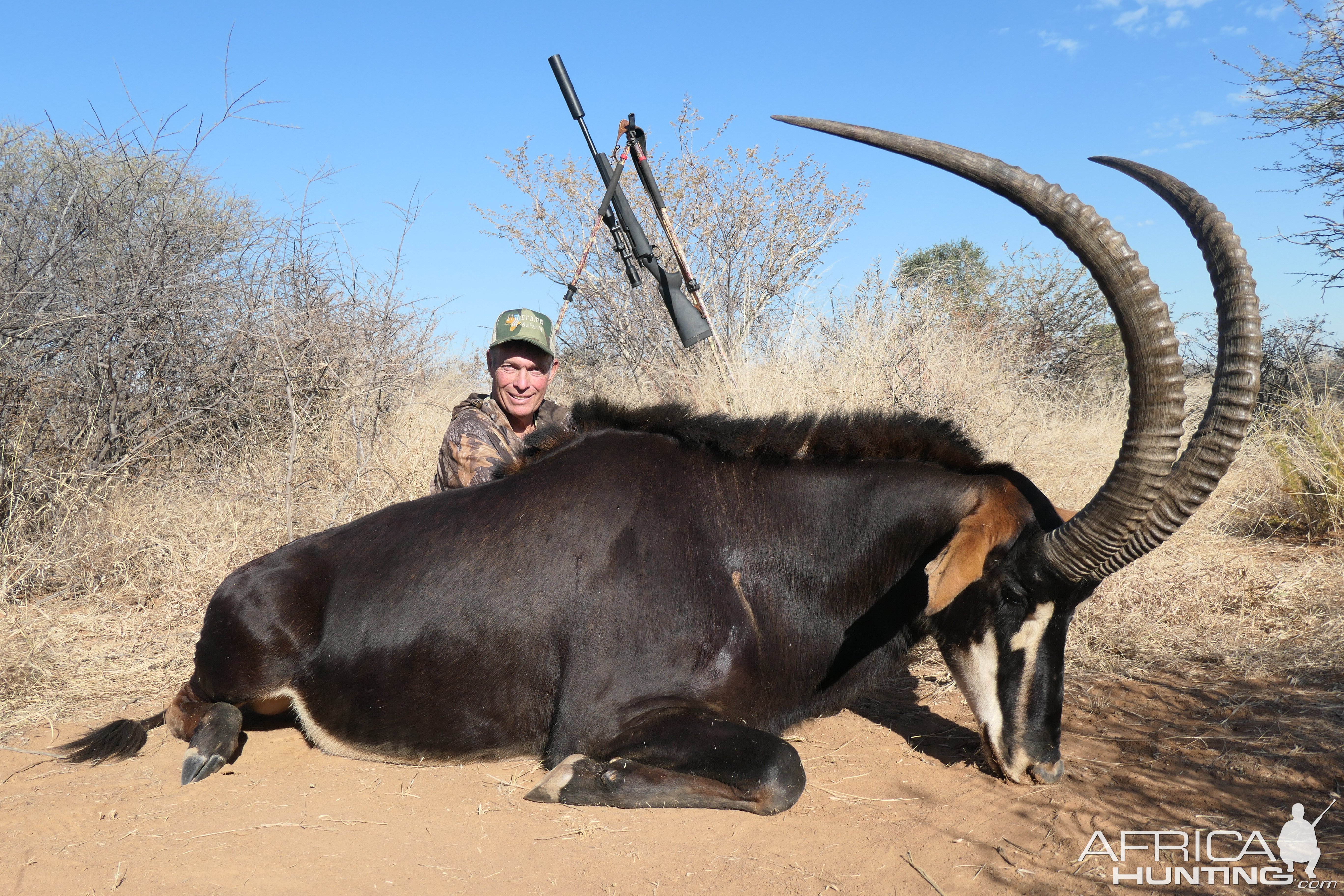 Sable Hunting South Africa