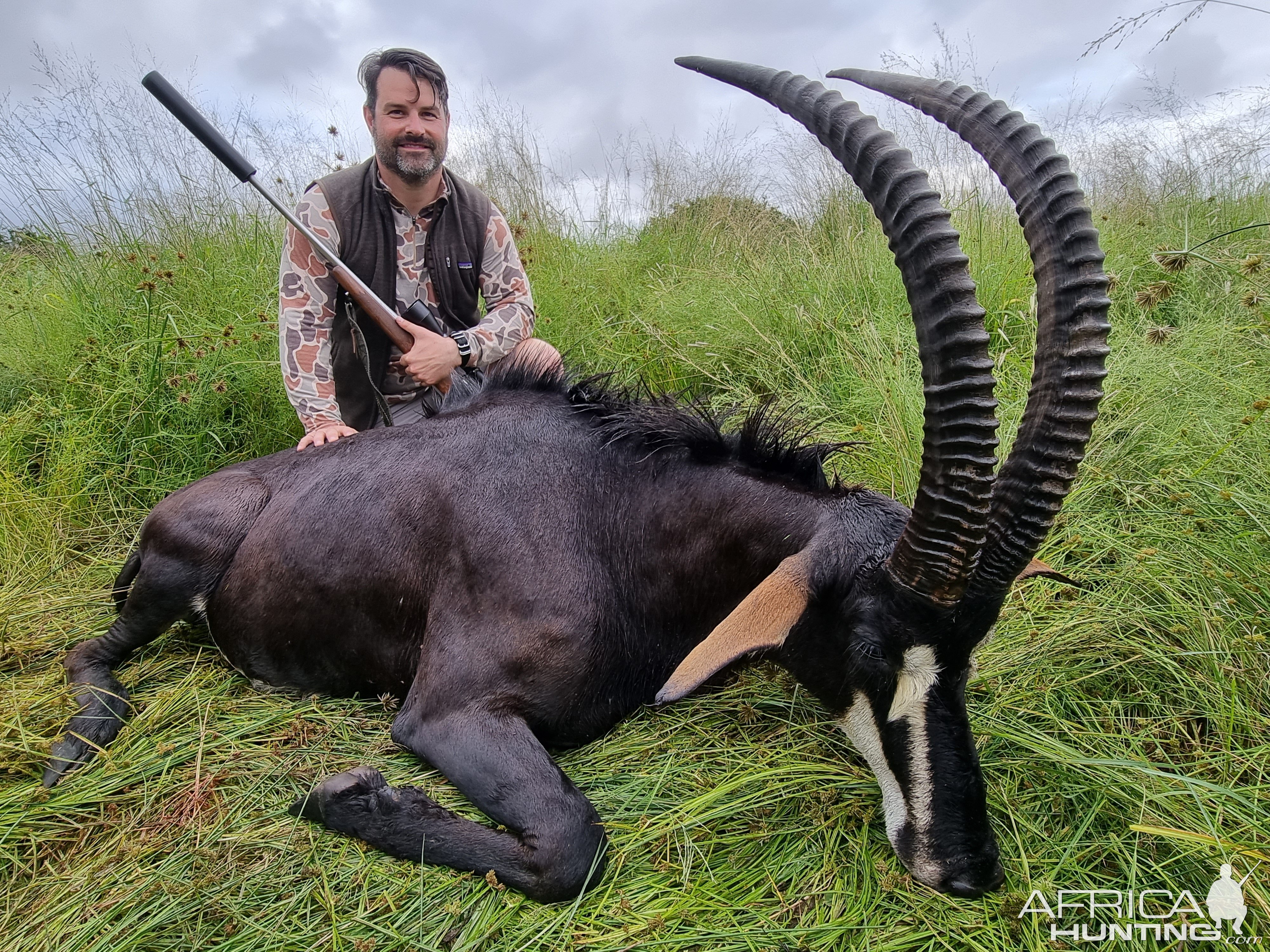 Sable Hunting South Africa