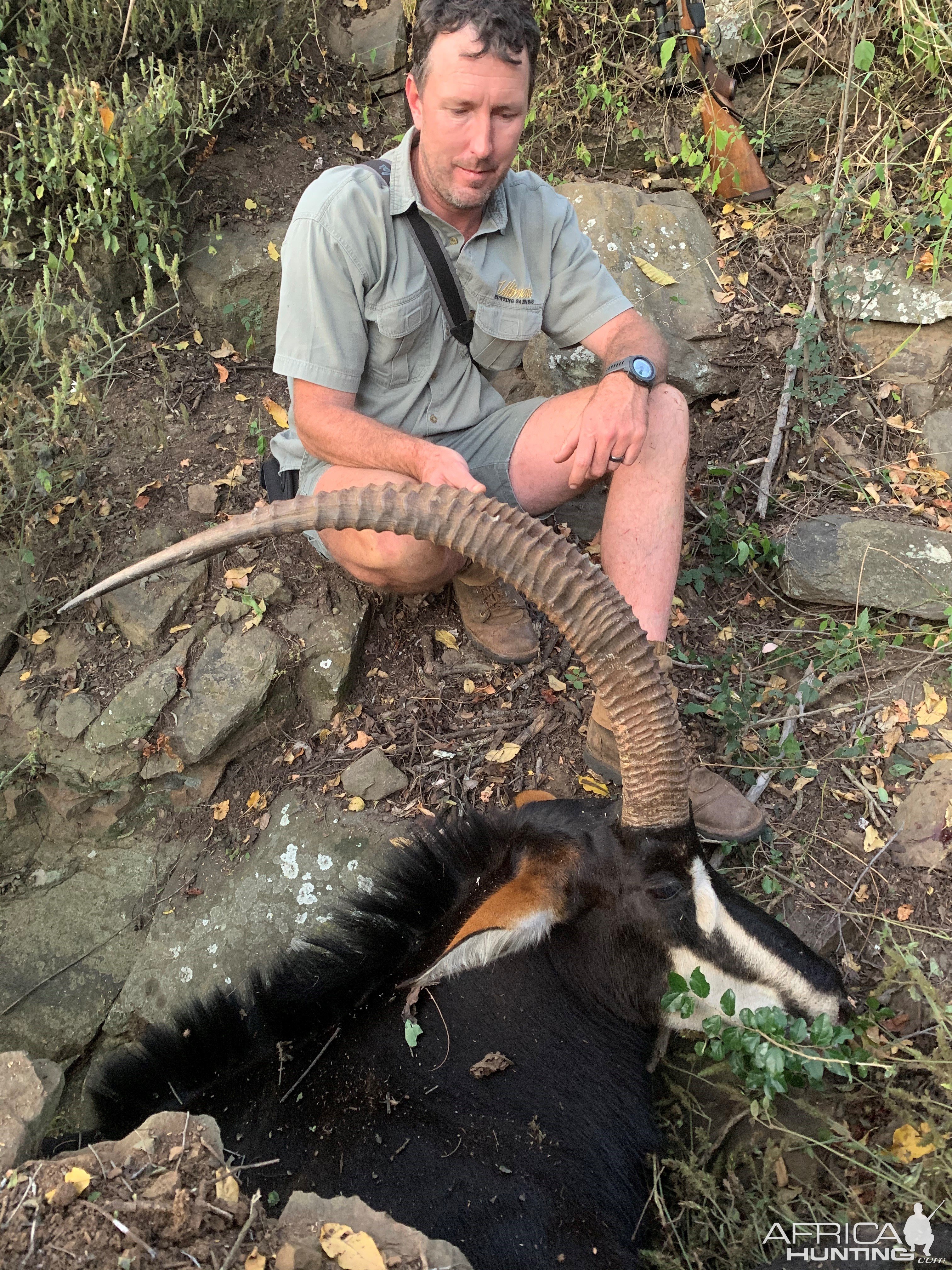 Sable Hunting South Africa