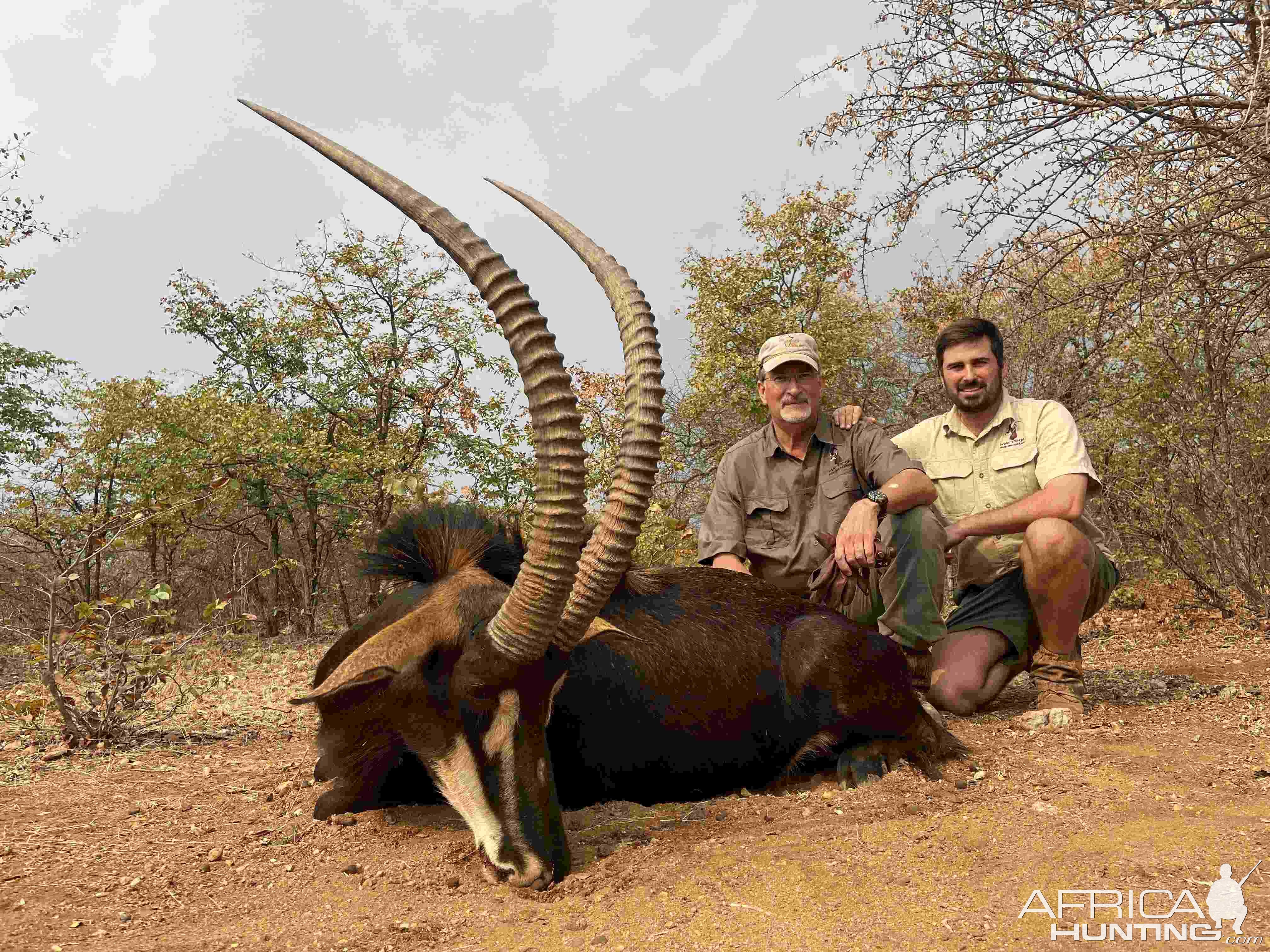 Sable Hunting South Africa