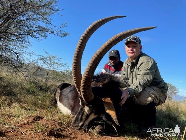 Sable Hunting South Africa