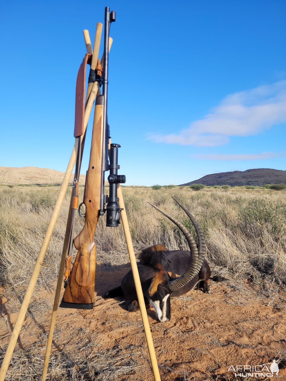 Sable Hunting South Africa