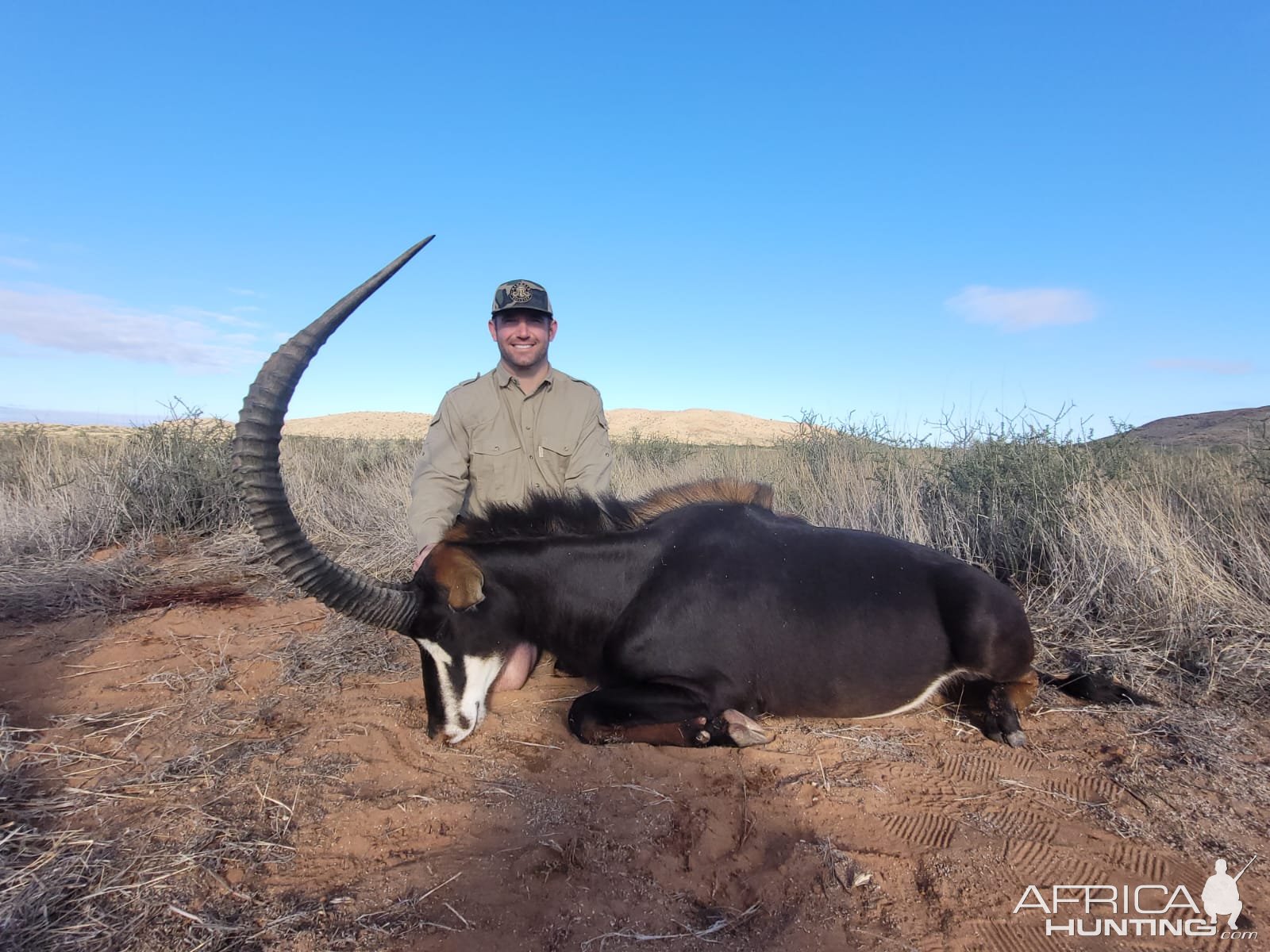 Sable Hunting South Africa