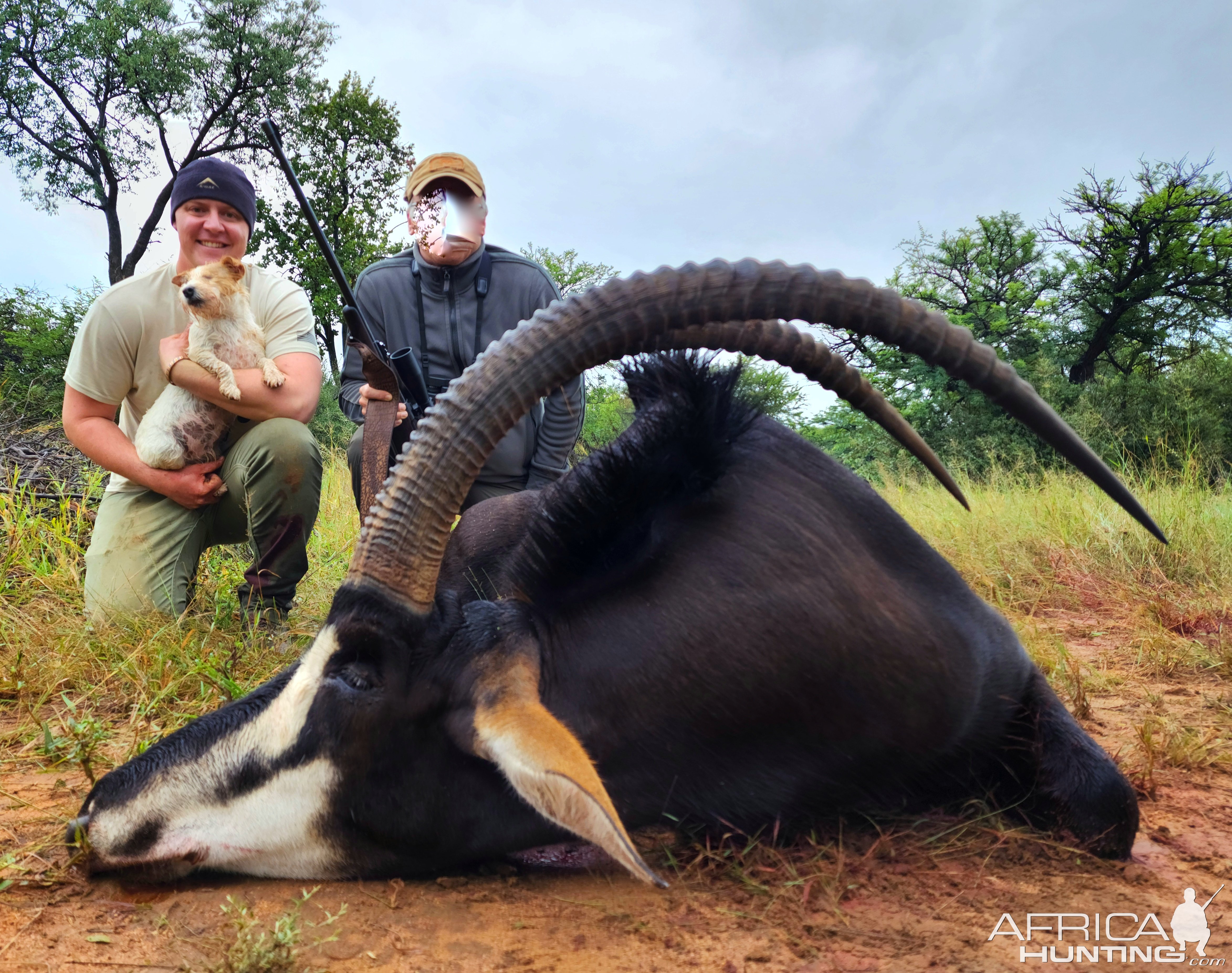 Sable Hunting South Africa