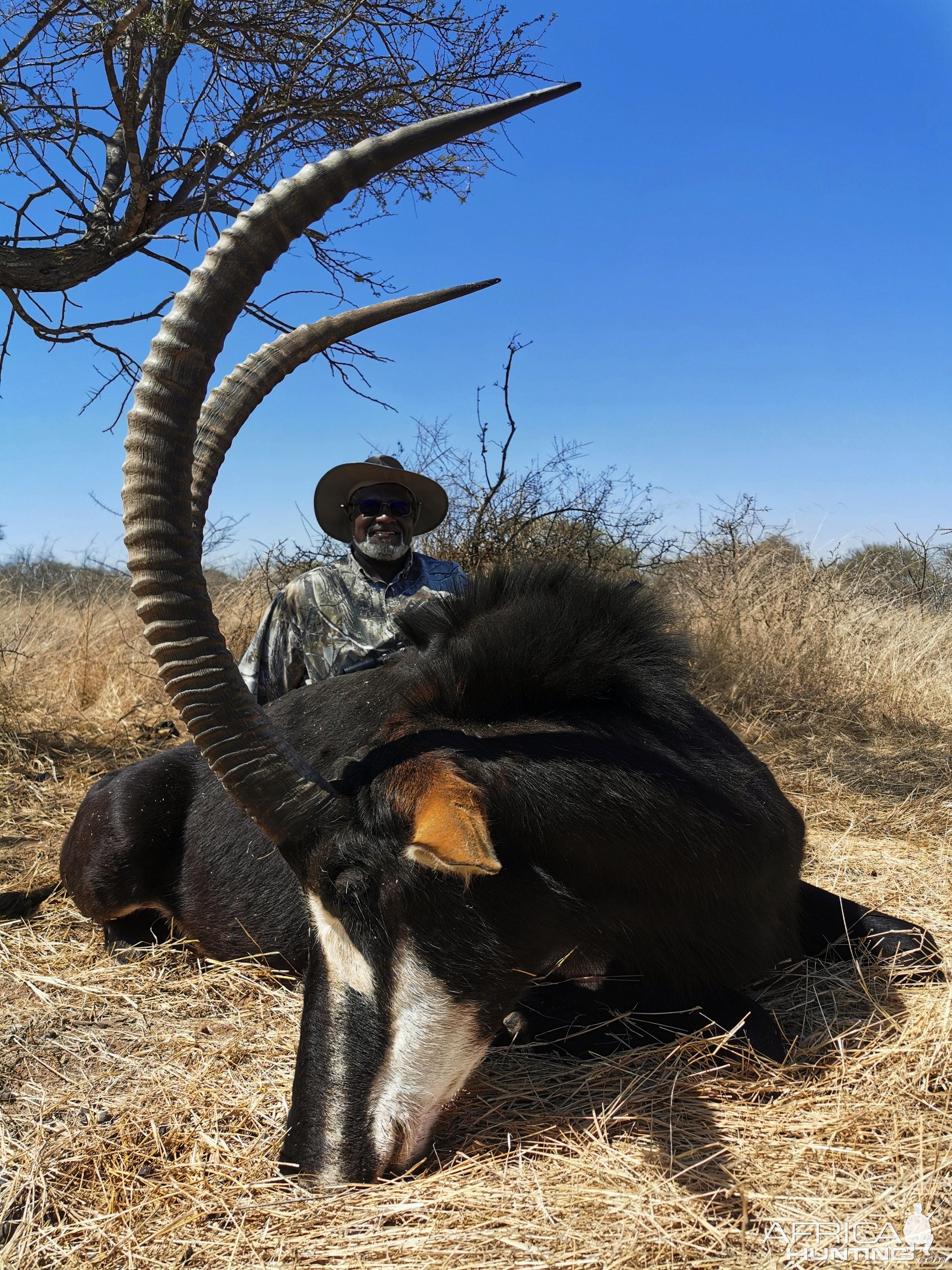 Sable Hunting South Africa