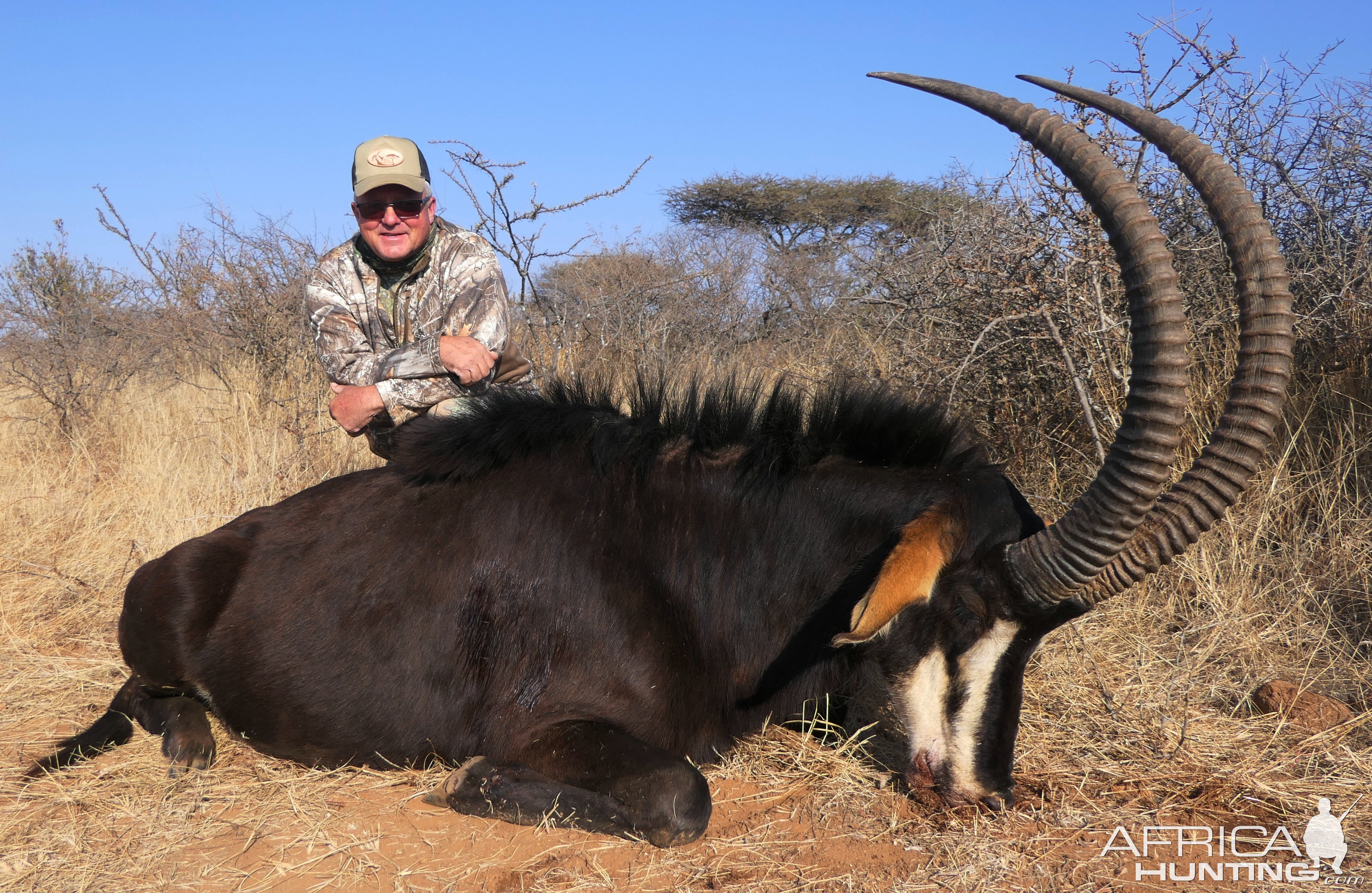 Sable Hunting South Africa