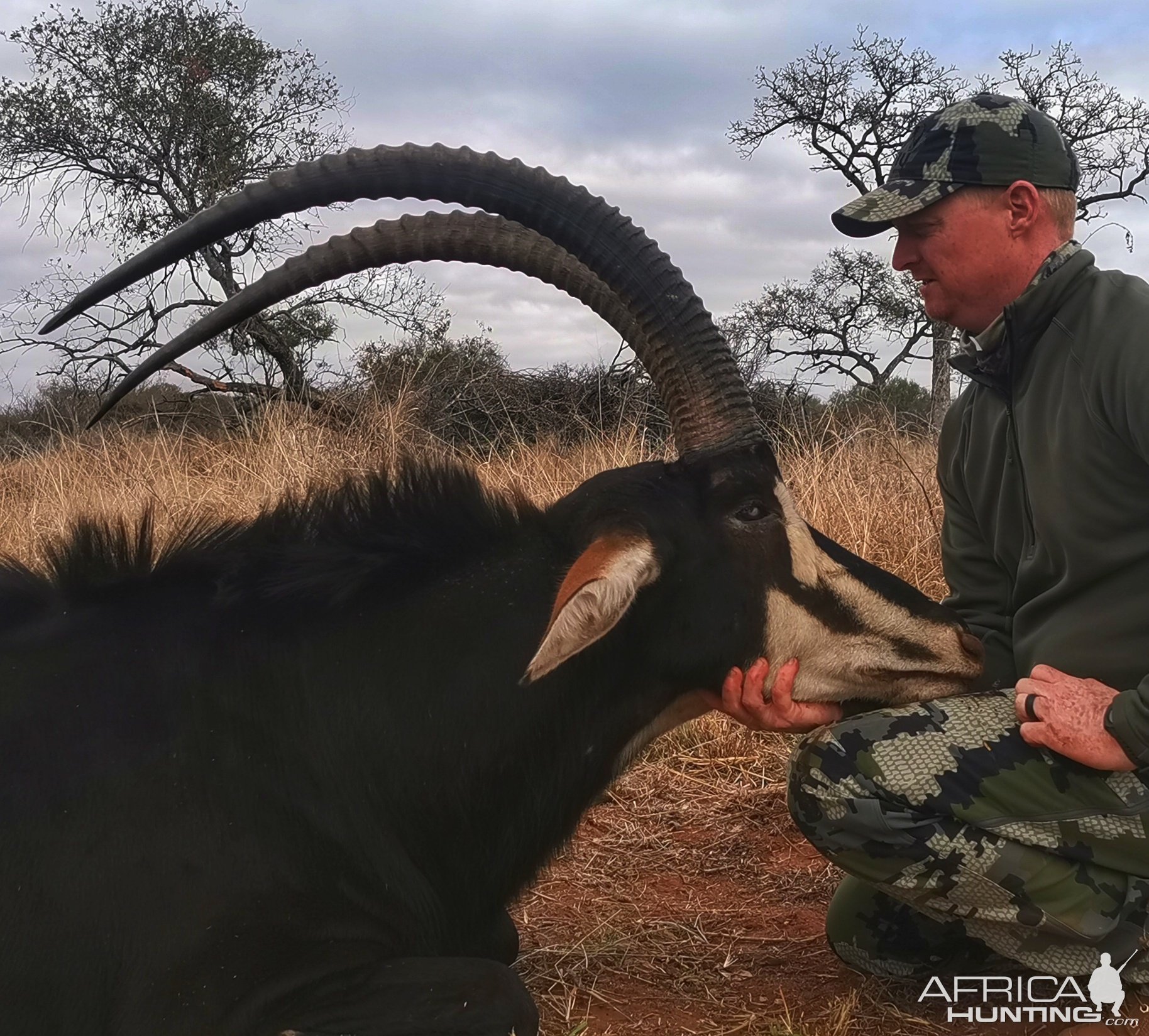 Sable Hunting South Africa