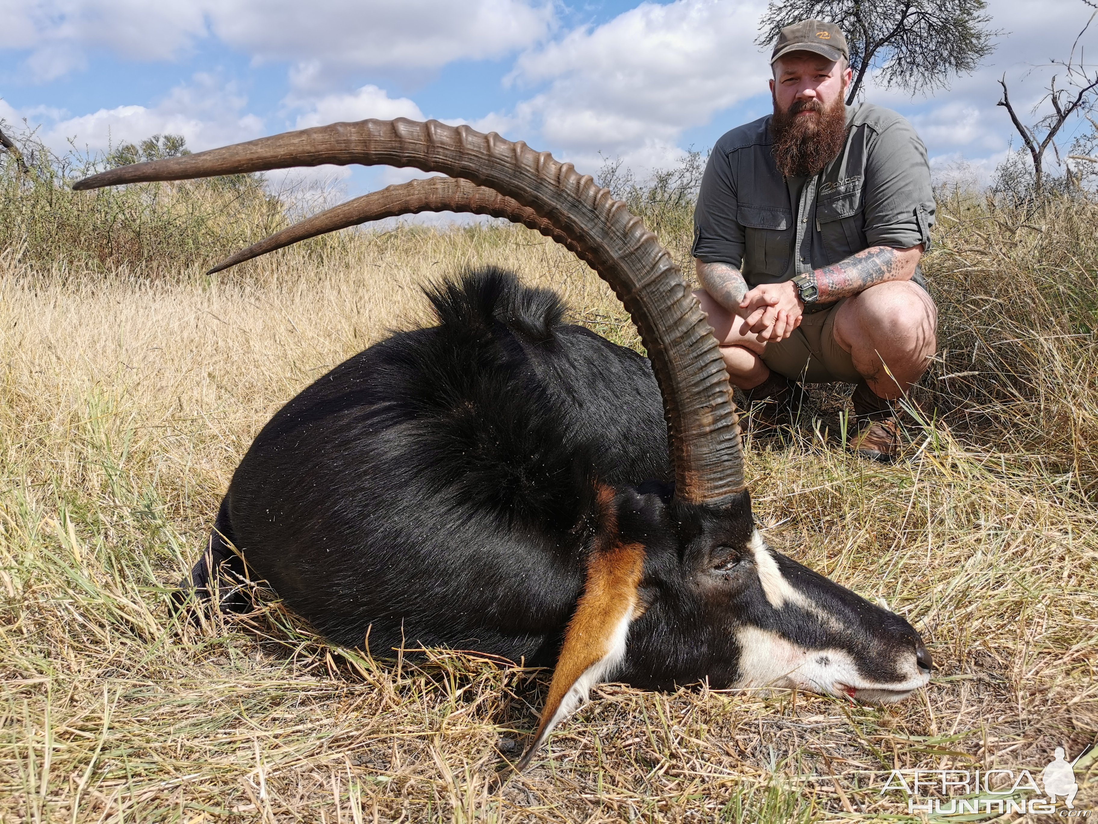 Sable Hunting South Africa