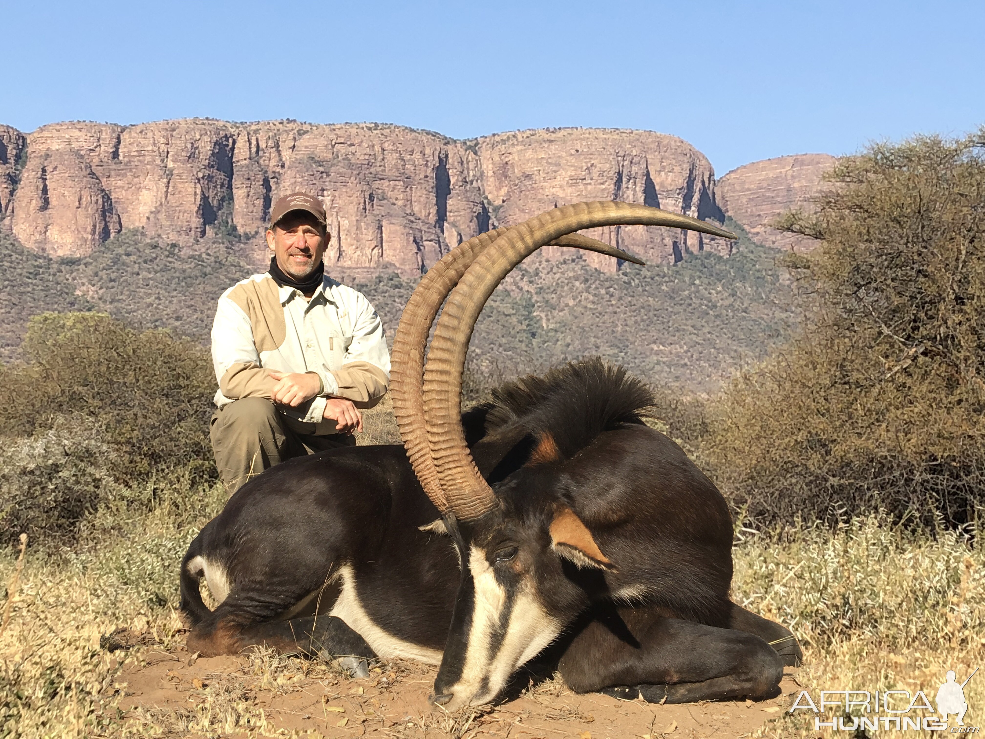 Sable Hunting South Africa