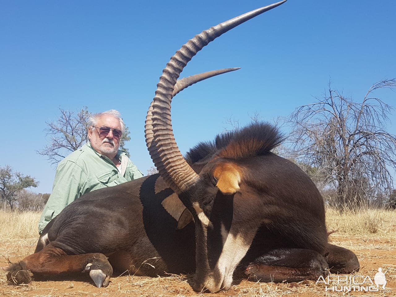 Sable Hunting South Africa