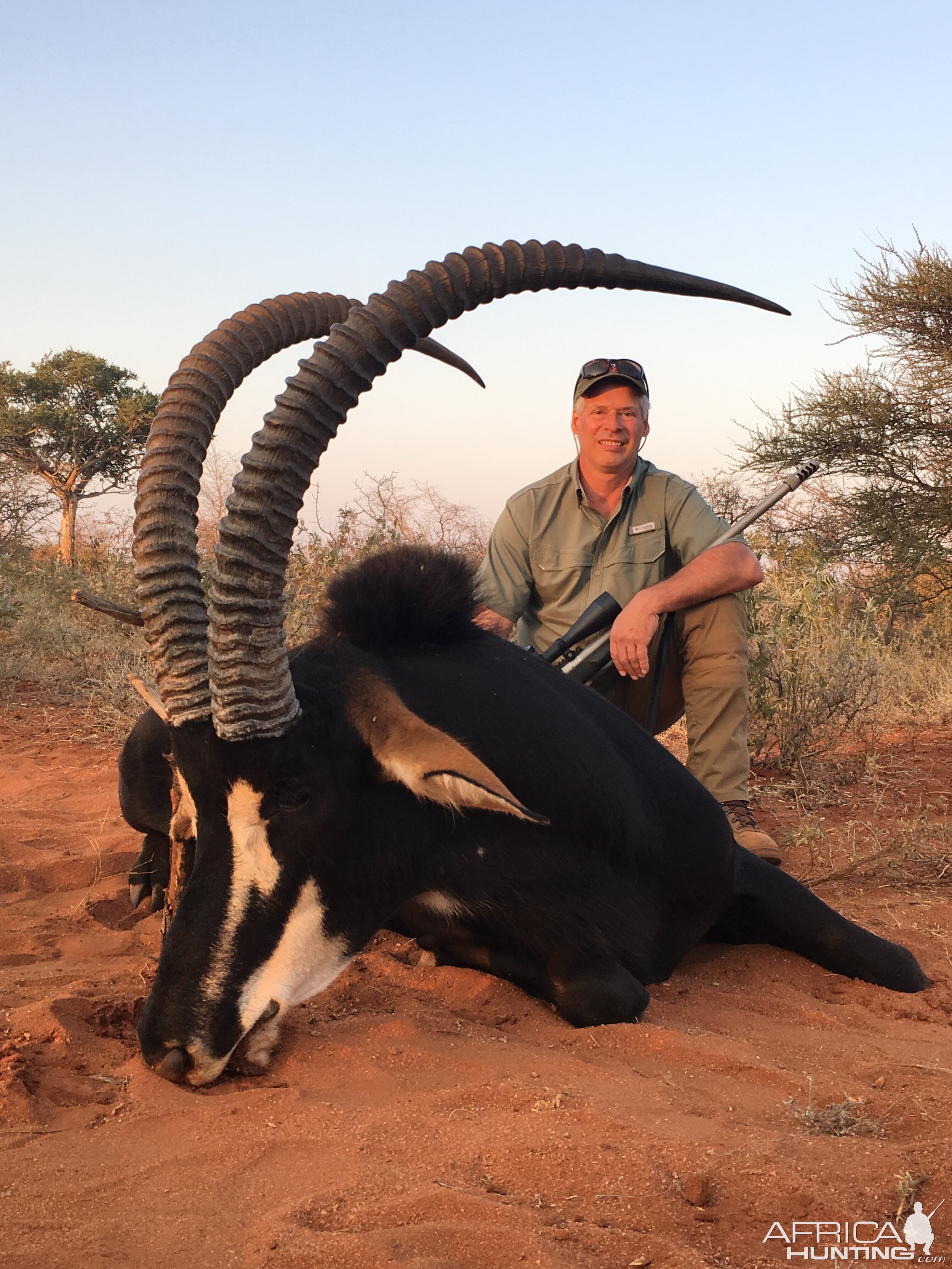 Sable Hunting South Africa